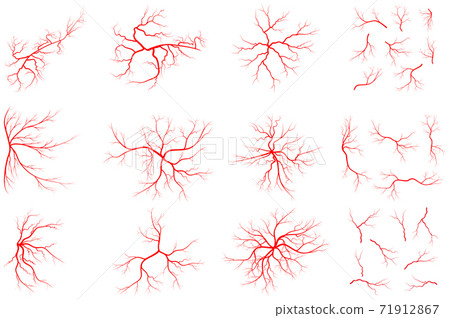 Vein set illustration isolated on white background. Collection of human blood system graphic. Red vessel, arteries design. Anatomical icon group. Vector shape of artery. Eps 10 abstract symbols. Vein set illustration isolated on white background. Collection of human blood system graphic. Red vessel, arteries design. Anatomical icon group. Vector shape of artery. Eps 10 abstract symbols. 71912867