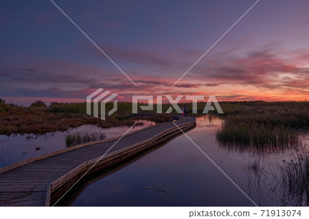 wooden bridge across the lake 71913074