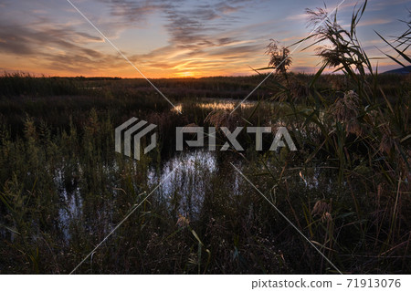magical sunset on the lake magical sunset on the lake 71913076