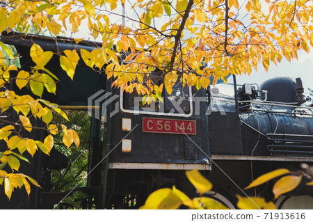 SL steam locomotive C56-144 [Komoro Castle Ruins Nostalgia] 71913616