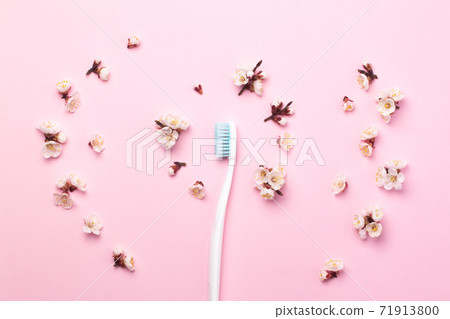 White toothbrush with blue bristles on a pink paper background decorated with spring flowers. White toothbrush with blue bristles on a pink paper background decorated with spring flowers. 71913800