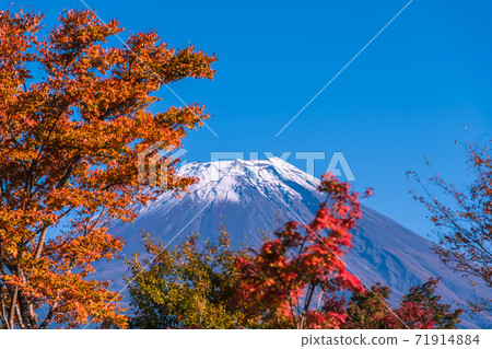 [Mt. Fuji and autumn leaves from Road Station Asagiri Kogen] 71914884