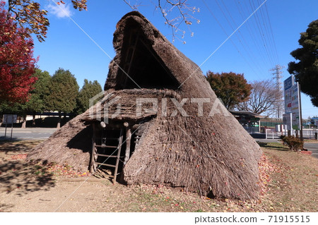 Pit style housing 71915515