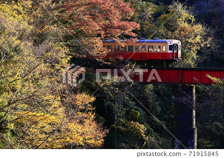 秋葉Kominato鐵路 71915845