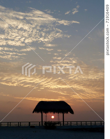 Maldives Makunudu morning 71916409