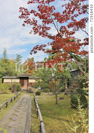 Autumn Shokado garden 71916410