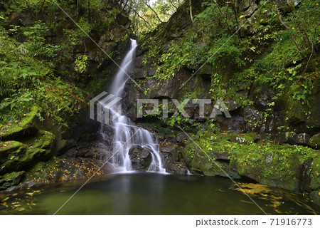 Higami Otaki(三重縣津市三杉町) Higami Otaki(三重縣津市三杉町) 71916773