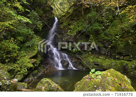 Higami Otaki (Misugi Town, Tsu City, Mie Prefecture) 71916778