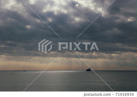 Tosa Bay 71916939