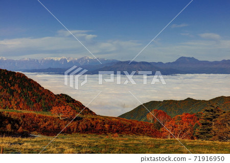山田農場周圍的秋葉 71916950