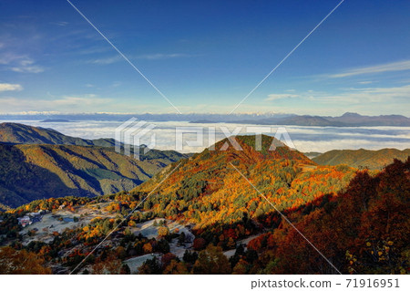 山田農場周圍的秋葉 山田農場周圍的秋葉 71916951