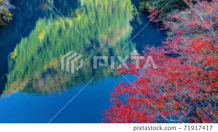 Autumn in the several horse canyons 71917417