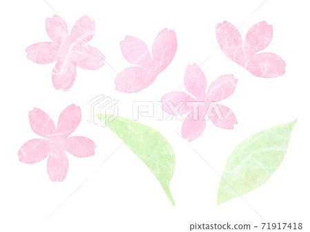 Cherry Blossoms Cherry Blossoms 71917418