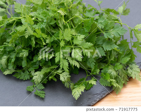 Herb Churville Herb Churville 71917775