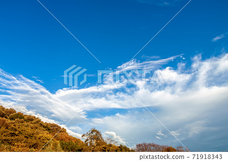 秋天的落葉，秋天的天空和藍天[秋天] 71918343