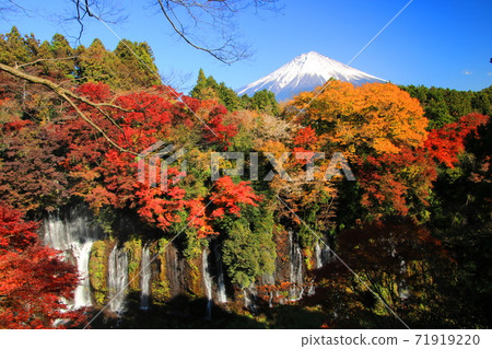 靜岡縣白石瀑布，紅葉和富士山 71919220