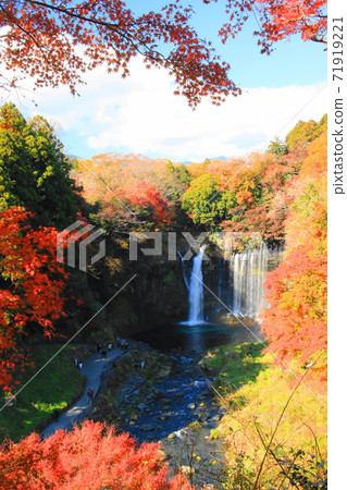 靜岡縣白rai瀑布秋天的景色 靜岡縣白rai瀑布秋天的景色 71919221
