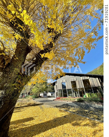 Library on the clouds and autumn leaves 71919281