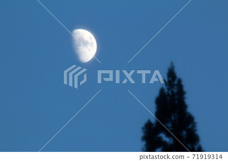 First quarter moon in late autumn, Tadami Town, Fukushima Prefecture First quarter moon in late autumn, Tadami Town, Fukushima Prefecture 71919314
