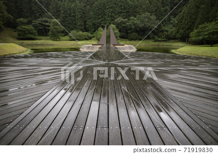 Forest of art Forest of art 71919830