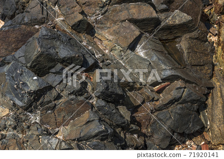 Closeup of wet rock surface near the Indian ocean 71920141