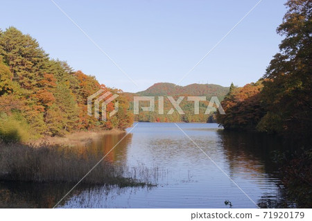 在水壩湖的秋葉 71920179