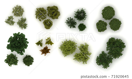 Various trees from top view 71920645