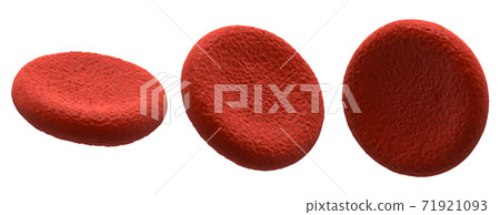 Blood cells on white Blood cells on white 71921093