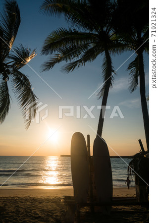 Surfboards beside coconut trees at summer beach with sun light. Surfboards beside coconut trees at summer beach with sun light. 71921324