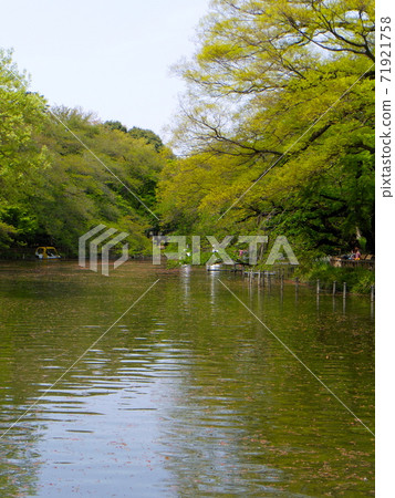 井上公園6 71921758