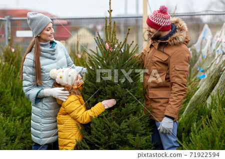 happy family choosing christmas tree at market happy family choosing christmas tree at market 71922594