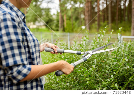 woman with pruner cutting branches at garden woman with pruner cutting branches at garden 71923448