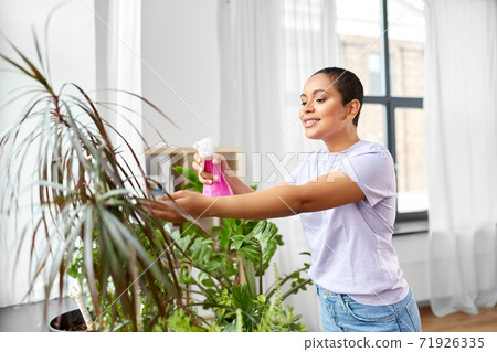 woman spraying houseplant with water at home woman spraying houseplant with water at home 71926335