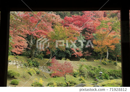 美山市清水山紅葉 美山市清水山紅葉 71928812