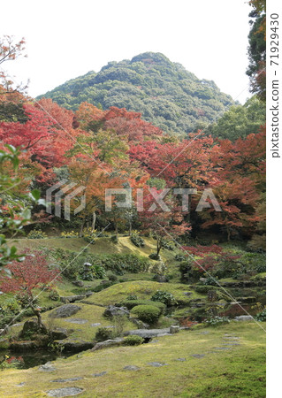 Miyama City Shimizuyama Autumn Leaves, Miyama City Shimizuyama Autumn Leaves, 71929430