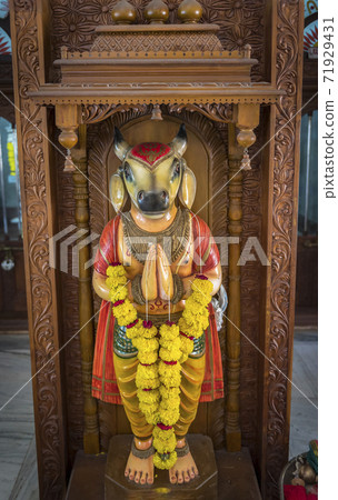Statue of the goddess Prithvi with cow's head in the Hindu temple Shree Laxminarayan in Goa, India Statue of the goddess Prithvi with cow's head in the Hindu temple Shree Laxminarayan in Goa, India 71929431
