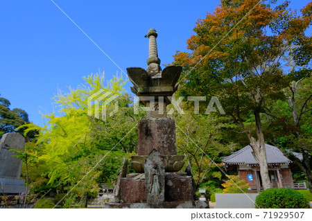 Western 33 Kannon聖地Extra Hanayamain Bodaiji寺 Western 33 Kannon聖地Extra Hanayamain Bodaiji寺 71929507