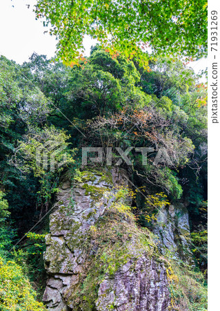 Autumn leaves of the 500 Arhats (Tomigawa Valley) at Daioji Temple [Isahaya City, Nagasaki Prefecture] 71931269