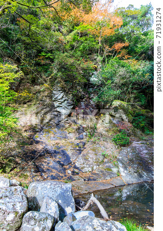 Autumn leaves of the 500 Arhats (Tomigawa Valley) at Daioji Temple [Isahaya City, Nagasaki Prefecture] 71931274