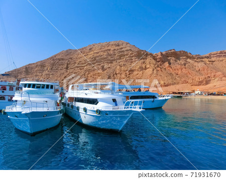 Pleasure yachts in the port. Pleasure yachts in the port. 71931670