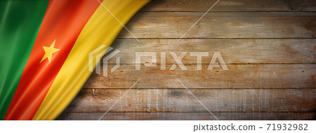 Cameroon flag on vintage wood wall banner 71932982