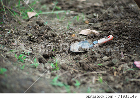 Closeup dirty planting spoon on the soil land with blurred foreground of grass 71933149