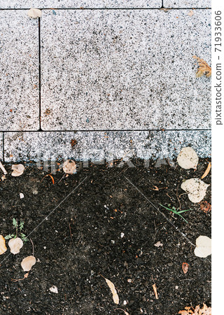 Grey stone pavement texture. Paving stones with yellow autumn leaves 71933606