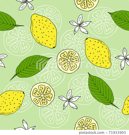 Seamless pattern with lemons - Stock Illustration [71933903] - PIXTA