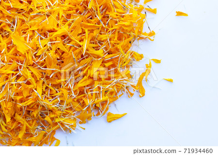 Petals of marigold flower on white background. Petals of marigold flower on white background. 71934460