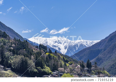 Oshika village with cherry blossoms and peach blossoms and Mt. Akaishi with remaining snow 71935219