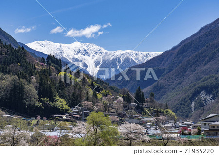 Oshika village with cherry blossoms and peach blossoms and Mt. Akaishi with remaining snow 71935220