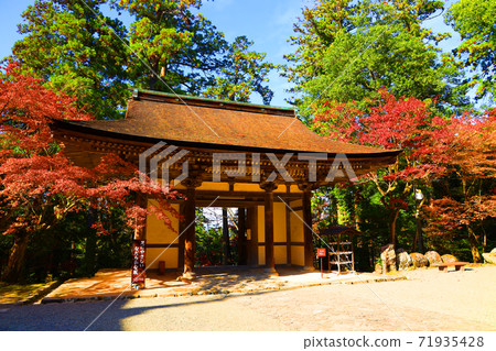 滋賀縣犬上郡（國寶）賽明寺（國寶）的秋葉風景，國寶古都江東三山[11月] 71935428