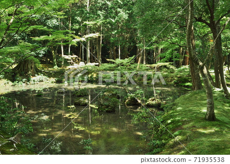 Saihoji Temple Kongo Pond Kyoto Saihoji Temple Kongo Pond Kyoto 71935538