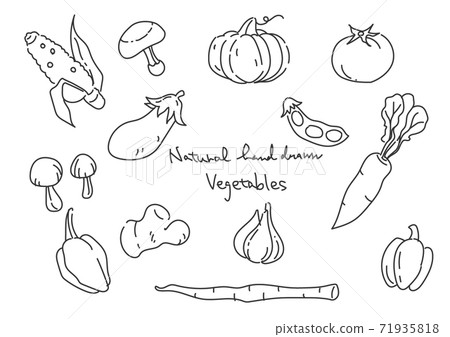Simple and stylish hand-drawn illustration vegetable set ② monochrome 71935818